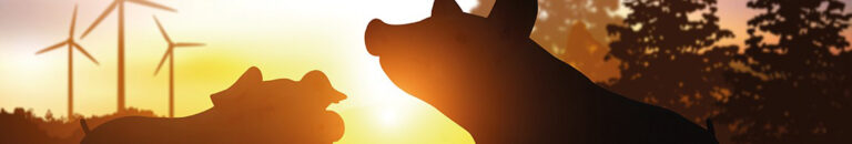 GRUPO JORGE 1 768x130