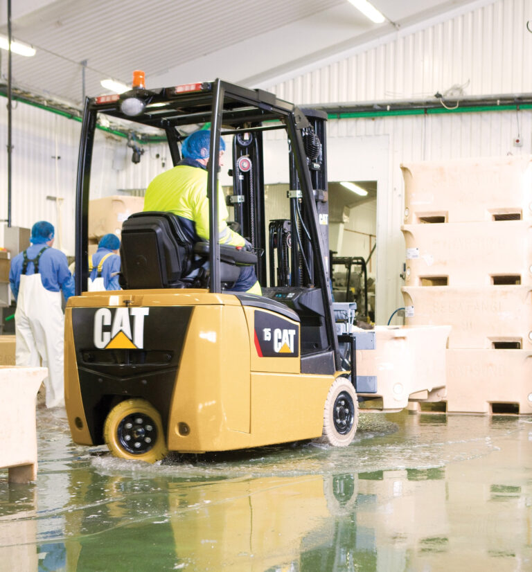 CARRETILLA ELECTRICA 768x826